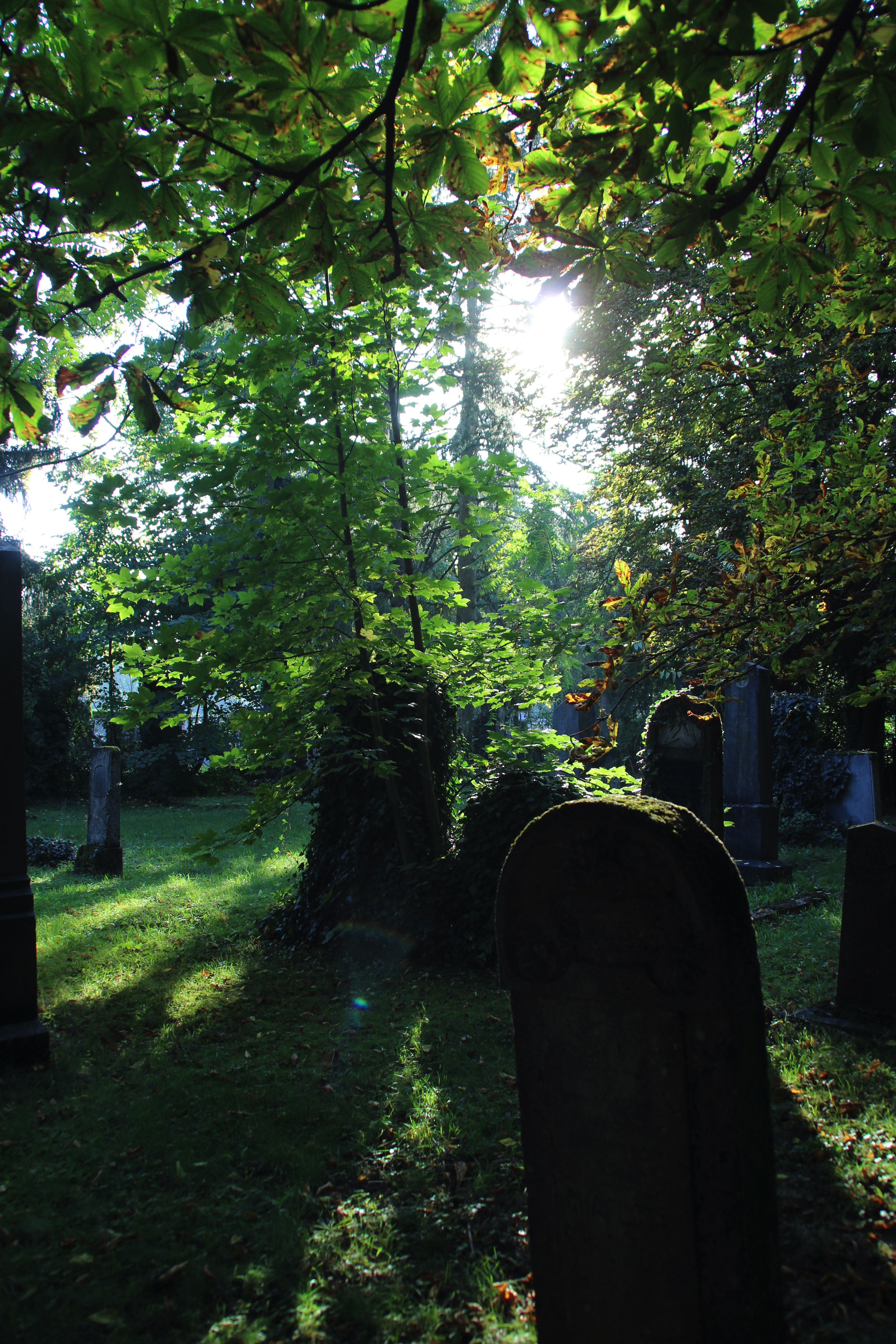 04_st-pölten_friedhof-squashed